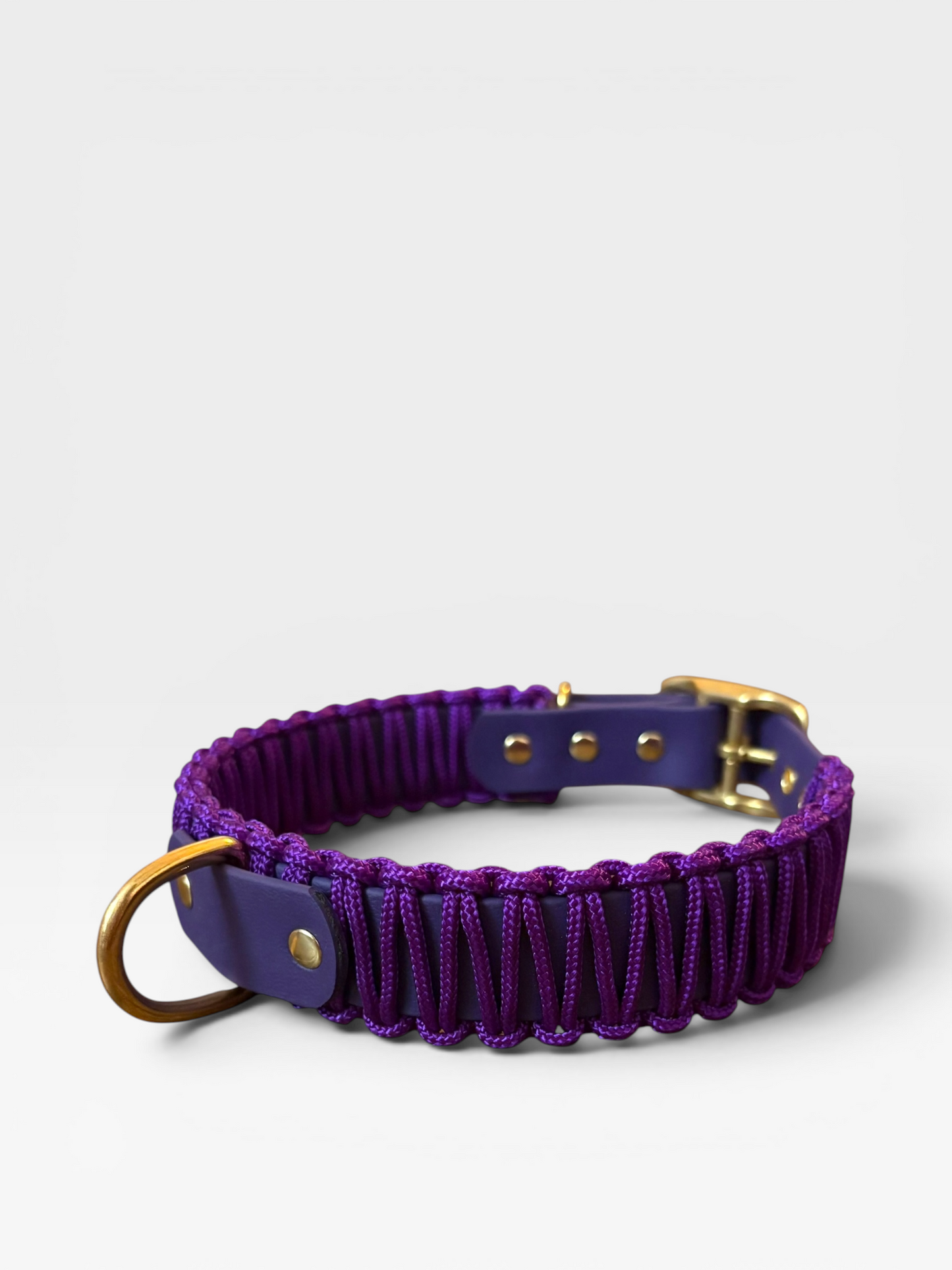 collier réglable en biothane et corde PLI Paris