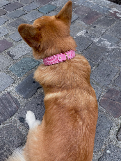 collier réglable en Biothane et corde rose