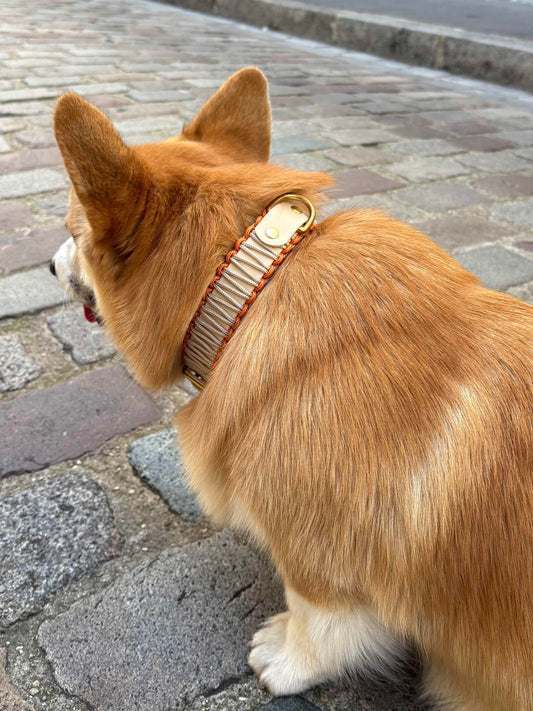 Collier réglable en Biothane et corde 