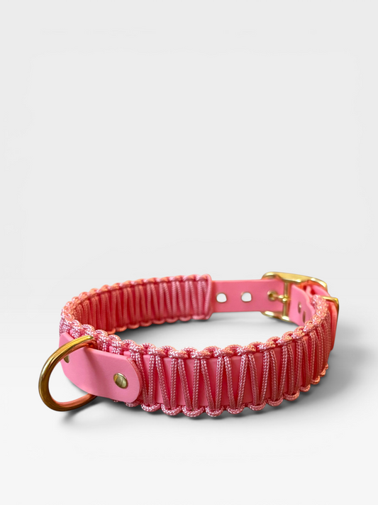 collier réglable en biothane et corde PLI Paris