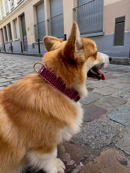 Collier réglable en Biothane et corde Bordeaux et rose
