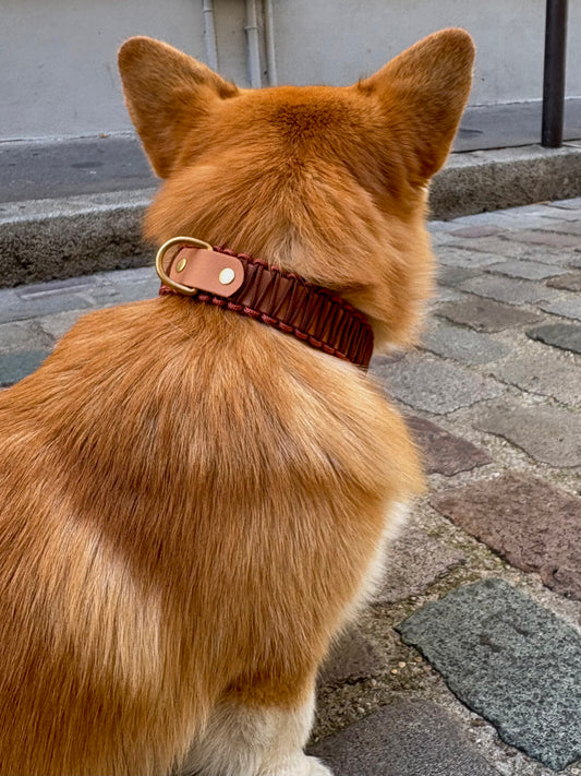 Collier Nuts