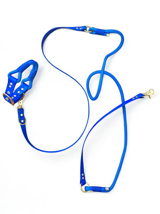 PLI PARIS ensemble laisse multi-positions et colliers en corde et biothane