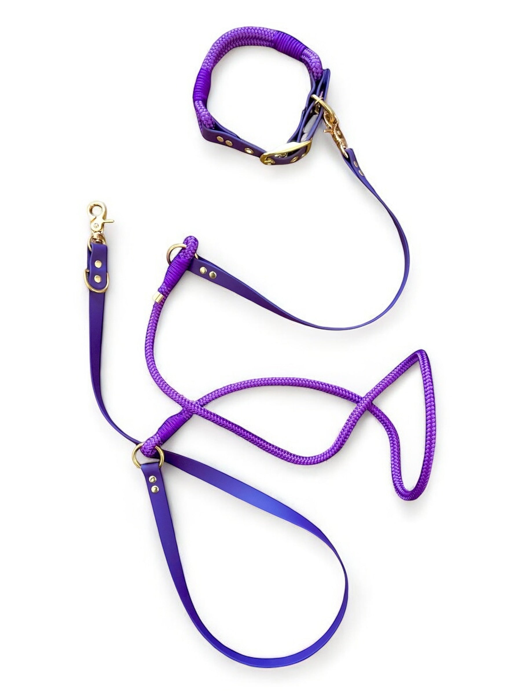PLI PARIS ensemble laisse multi-positions et colliers en corde et biothane