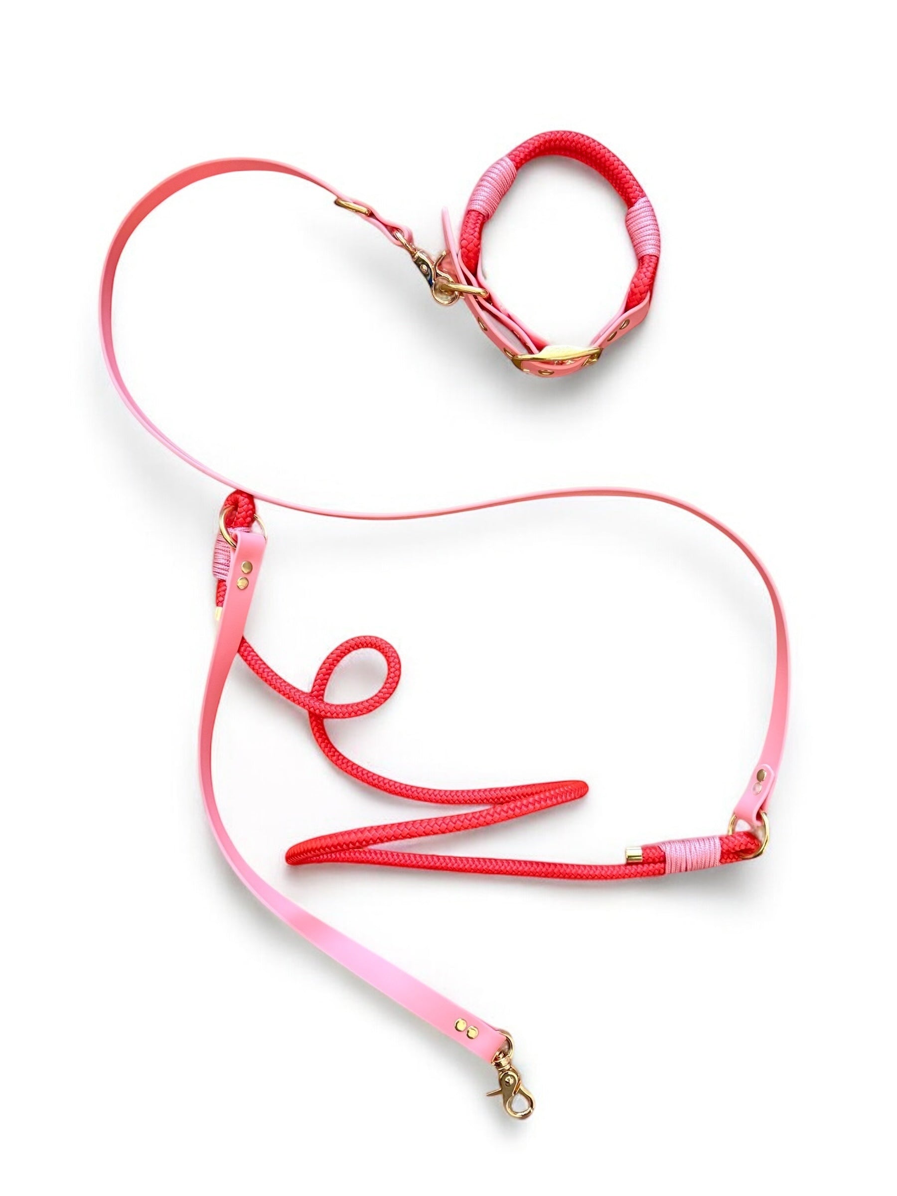 PLI PARIS ensemble laisse multi-positions et colliers en corde et biothane