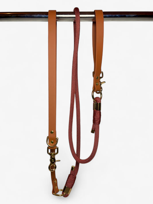 Laisse multi-positions en Biothane et Paracorde PLI Paris