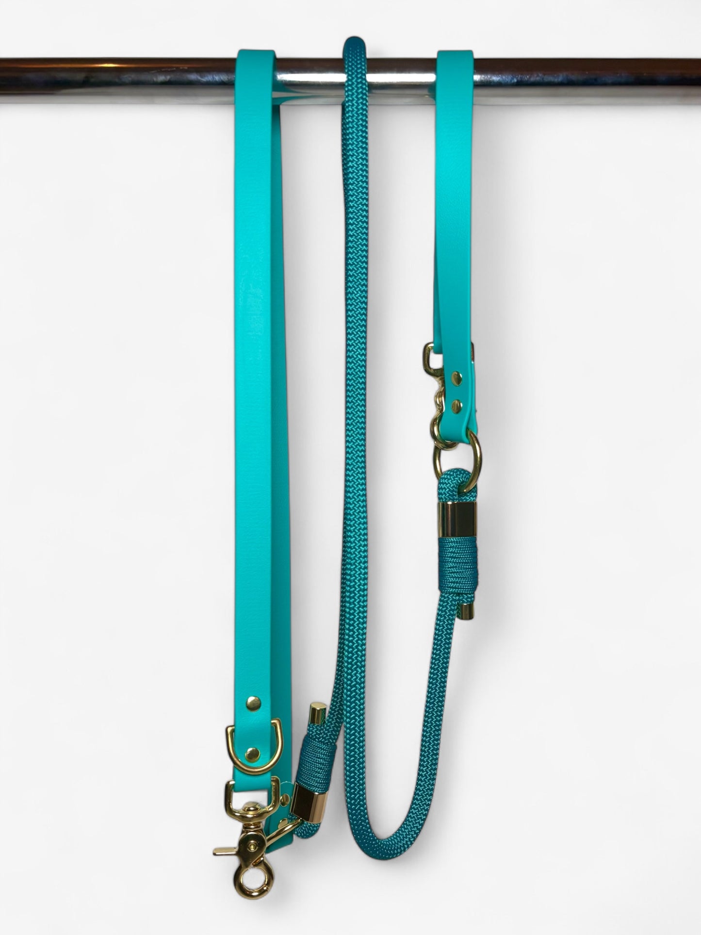 Laisse multi-positions en Biothane et Paracorde PLI Paris