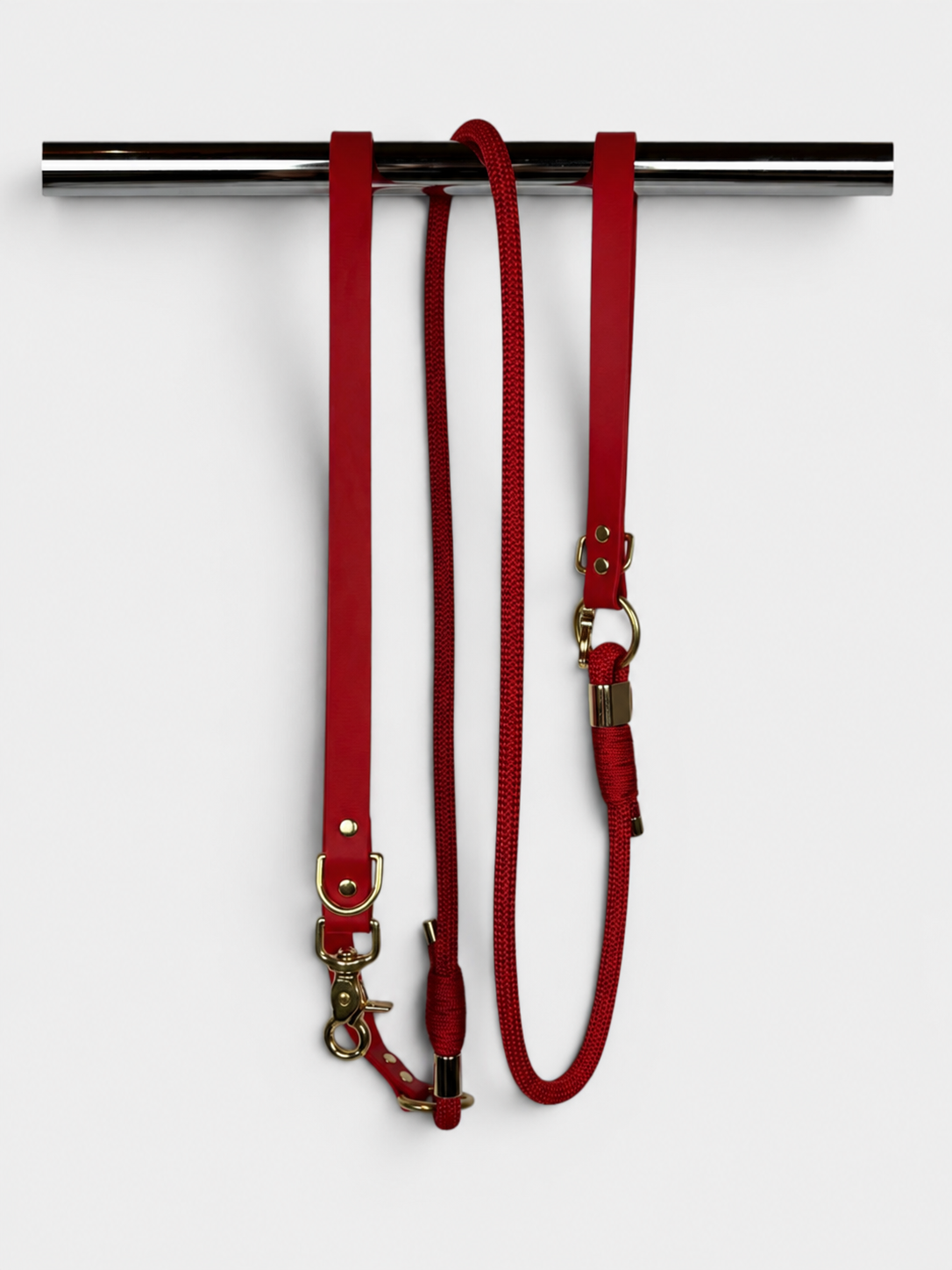 Pli paris accessoires pour chien laisse en corde et biothane