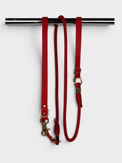Pli paris accessoires pour chien laisse en corde et biothane
