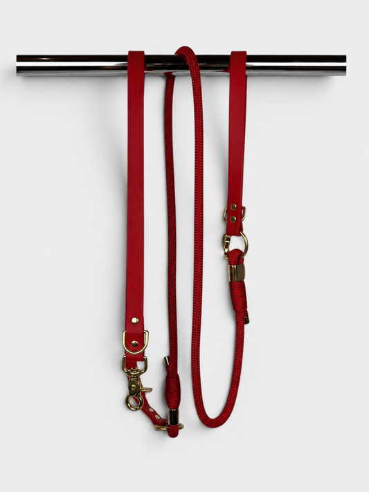 Pli paris accessoires pour chien laisse en corde et biothane