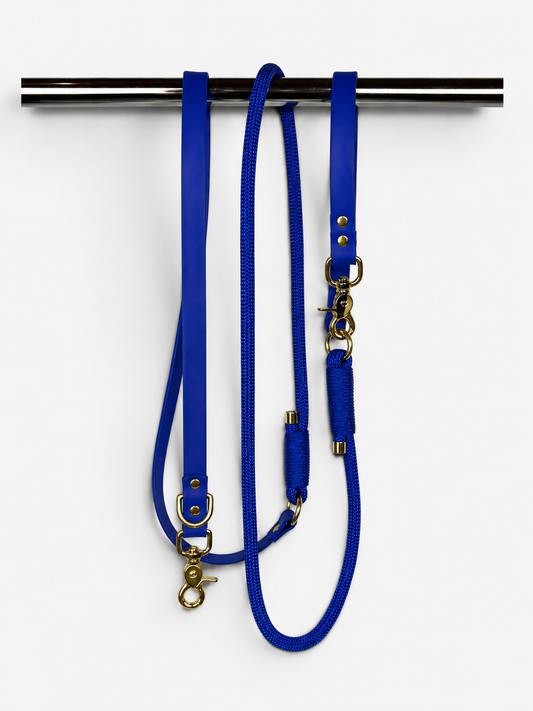 Pli paris accessoires pour chien laisse en corde et biothane