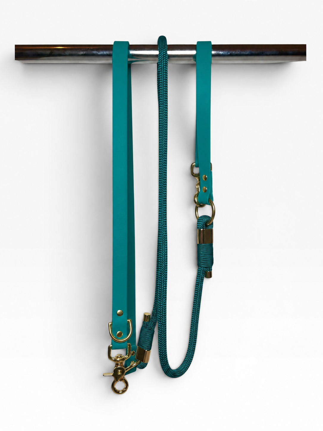 Pli paris accessoires pour chien laisse en corde et biothane