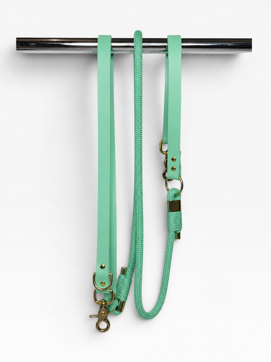 Pli paris accessoires pour chien laisse en corde et biothane