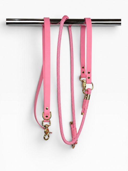 Pli paris accessoires pour chien laisse en corde et biothane