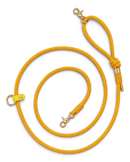 Laisse multi-positions et main libre en corde ultra resistante jaune Goldy Mama par PLI Paris. Accessoires pour chiens fait main
