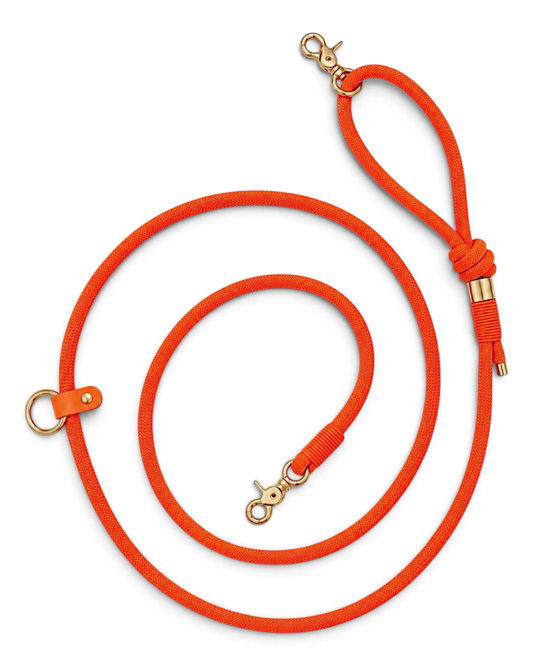 Laisse multi-positions et main libre en corde ultra resistante orange Orange Mecanique par PLI Paris. Accessoires pour chiens fait main