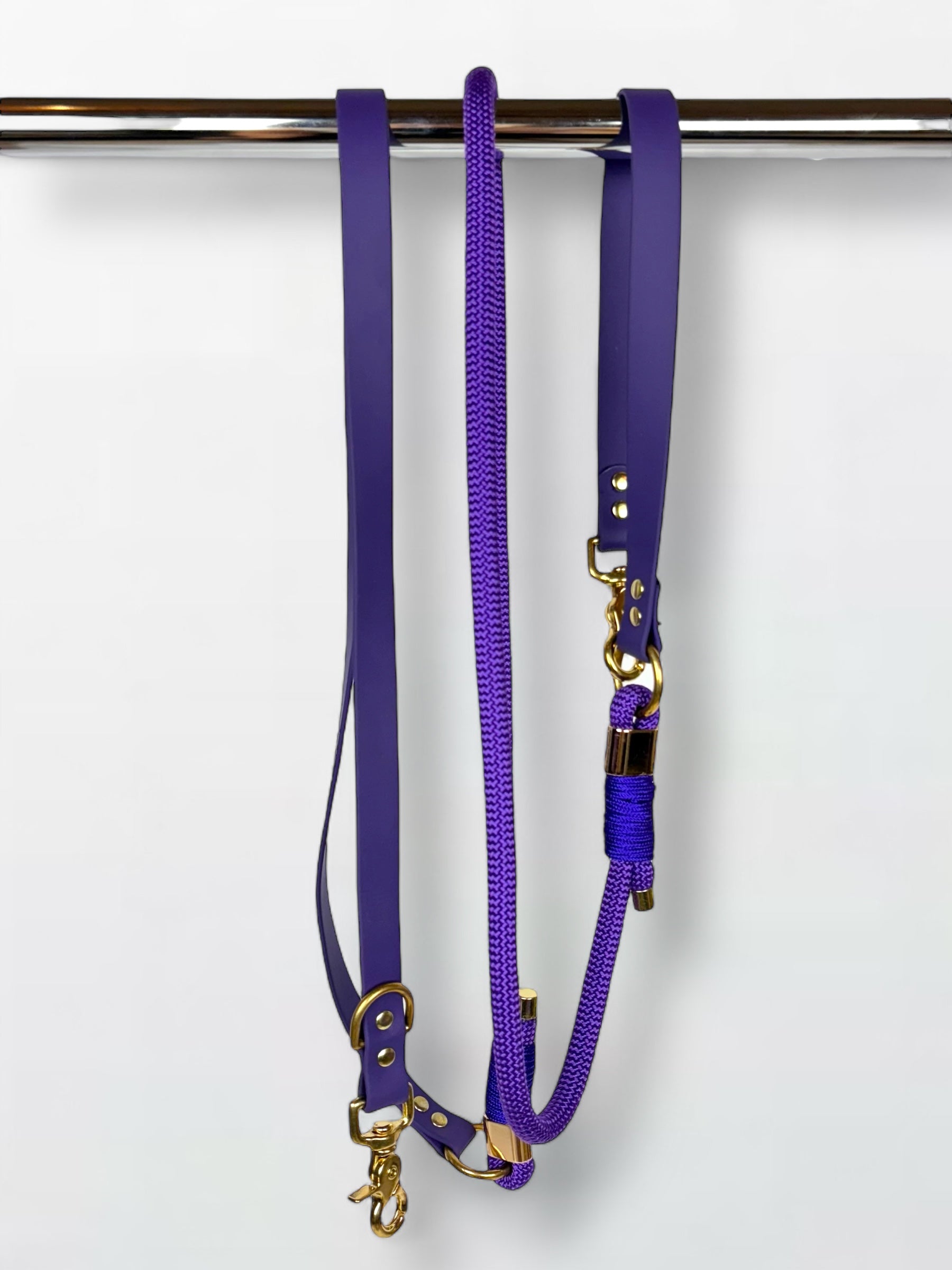 laisse multi-positions en Biothane et corde violette