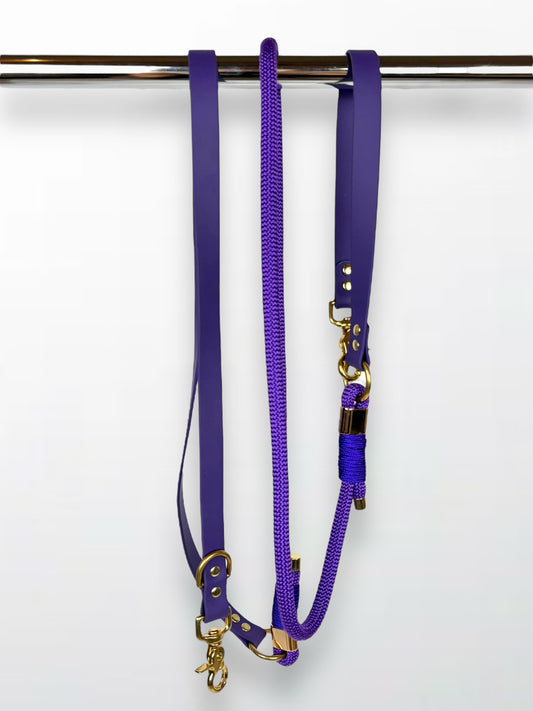 laisse multi-positions en Biothane et corde violette