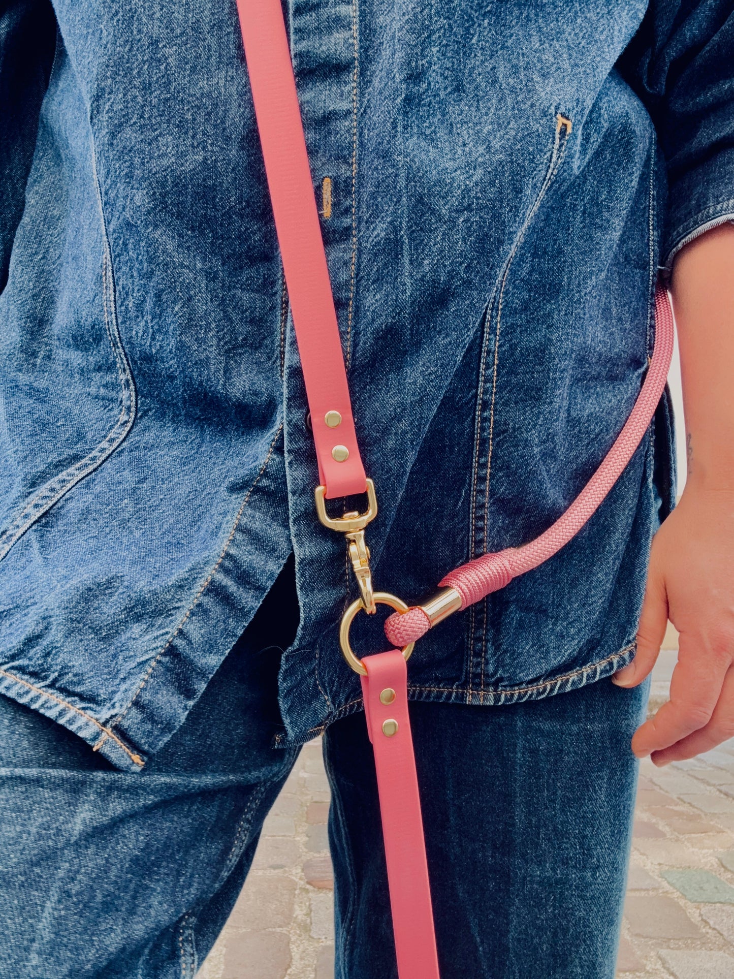 laisse multi-positions en Biothane et corde rose