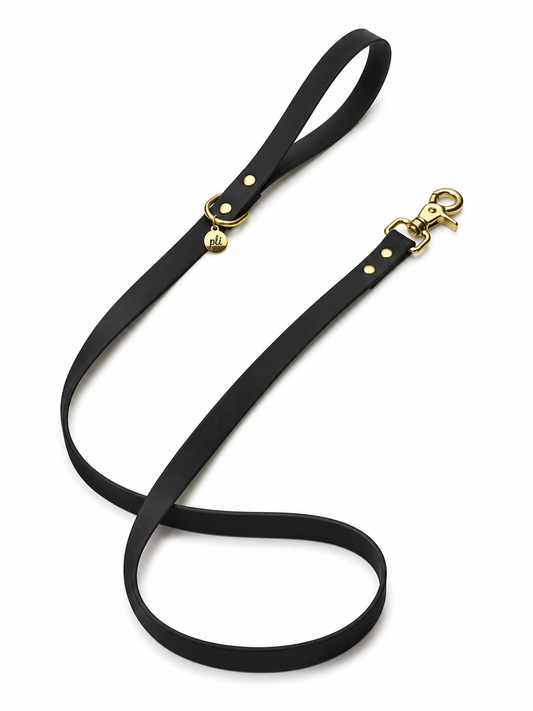 Laisse en biothane Black Mamba de 1m60 fait main par PLI Paris