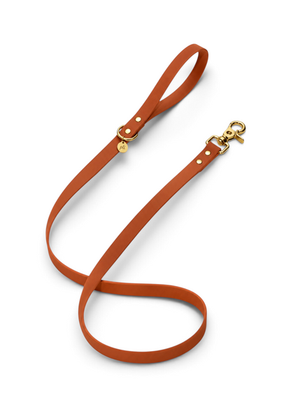 Laisse en biothane Brown Sugar de 1m60 fait main par PLI Paris