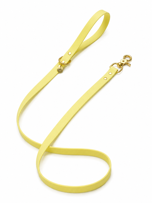 Laisse en biothane Lemon Twist de 1m60 fait main par PLI Paris