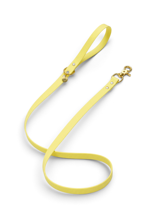 Laisse en biothane Lemon Twist de 1m60 fait main par PLI Paris