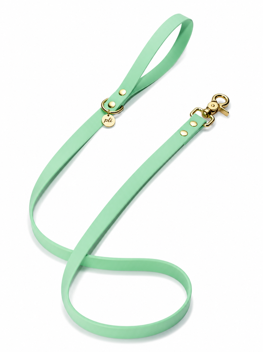 Laisse en biothane Mint To Be de 1m60 fait main par PLI Paris