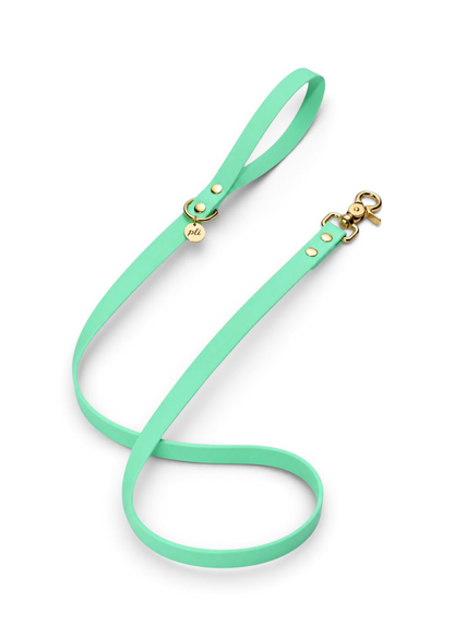 Laisse en biothane Mint To Be de 1m60 fait main par PLI Paris