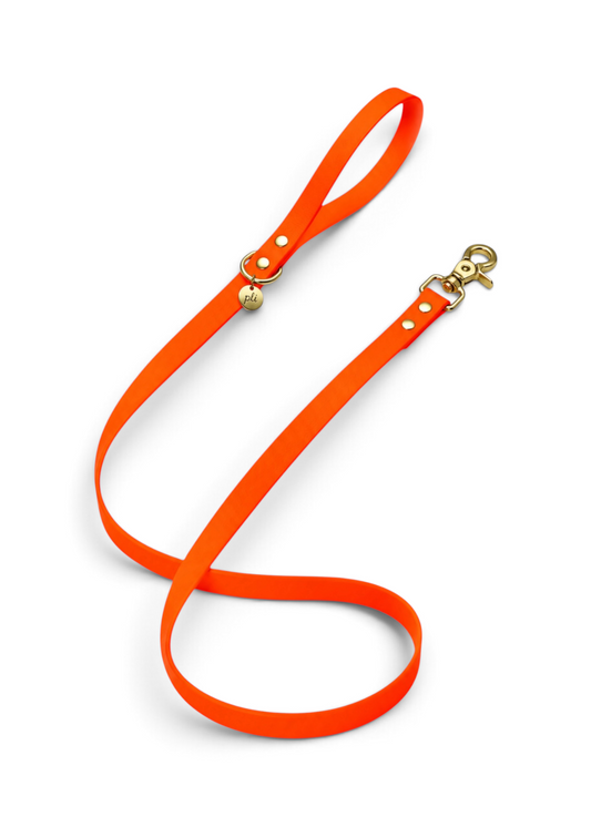 Laisse en biothane Orange Mécanique de 1m60 fait main par PLI Paris