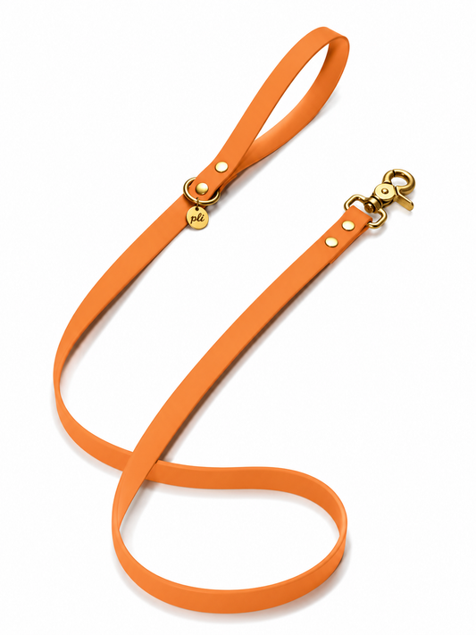 Laisse en biothane Peach Please de 1m60 fait main par PLI Paris