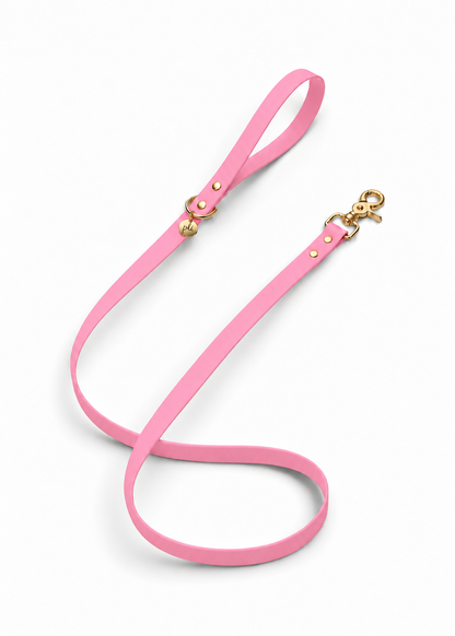 Laisse en biothane Sweet Candy de 1m60 fait main par PLI Paris